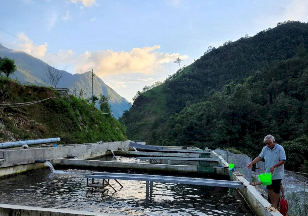 Explore the salmon farm near Silver Waterfall, where cold-water aquaculture thrives in a tropical mountain setting